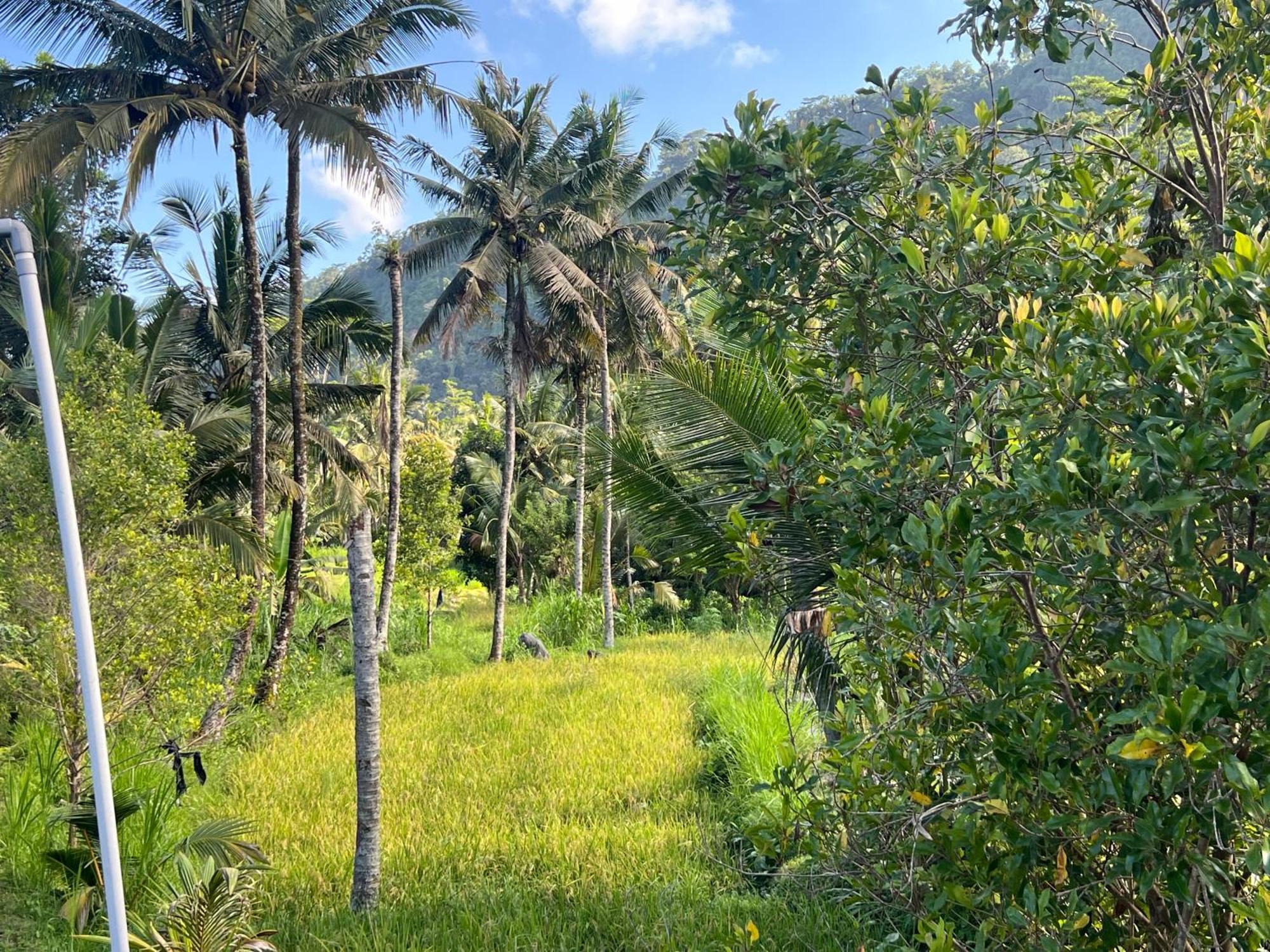 Villa Joglo Tepi Sungai Sidemen  Exterior foto
